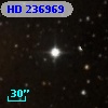 HD 236969
