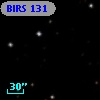 BIRS 131