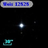 Weis 12828