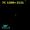 7C 1309+3131