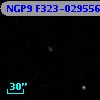 NGP9 F323-0295567