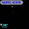 NGPFG 42970