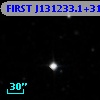FIRST J131233.1+312028