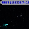 FIRST J131238.7+294150
