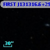 FIRST J131316.6+295852