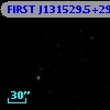 FIRST J131529.5+295628