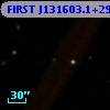 FIRST J131603.1+294908