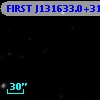 FIRST J131633.0+312217