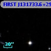 FIRST J131733.6+295902