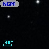 NGPFG  9318
