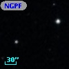 NGPFG  9311