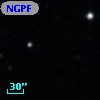 NGPFG  9307