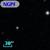 NGPFG  9299