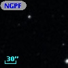 NGPFG  9290