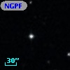 NGPFG  9251