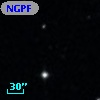 NGPFG  3238