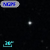 NGPFG  9238