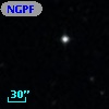 NGPFG  9239