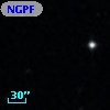 NGPFG  3104