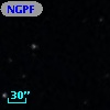 NGPFG  9147
