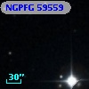 NGPFG 59559