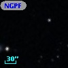 NGPFG  2104