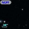 NGPFG  2113