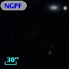 NGPFG  9091
