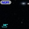 NGPFG  9083