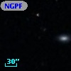 NGPFG  2021