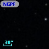NGPFG  8919