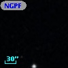 NGPFG  9013