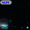 NGPFG  1178