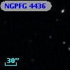 NGPFG  4436