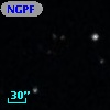 NGPFG  1864