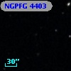 NGPFG  4403