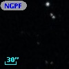 NGPFG  2117