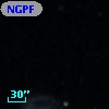 NGPFG  1249