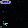 NGPFG  1429