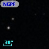 NGPFG  1309