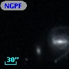 NGPFG  1111