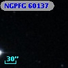 NGPFG 60137