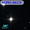 NGPFG 60129