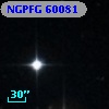 NGPFG 60081