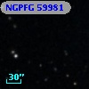 NGPFG 59981