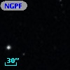 NGPFG  2621