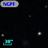NGPFG  2638