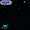 NGPFG  9272