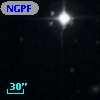 NGPFG  9103