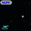 NGPFG  9032